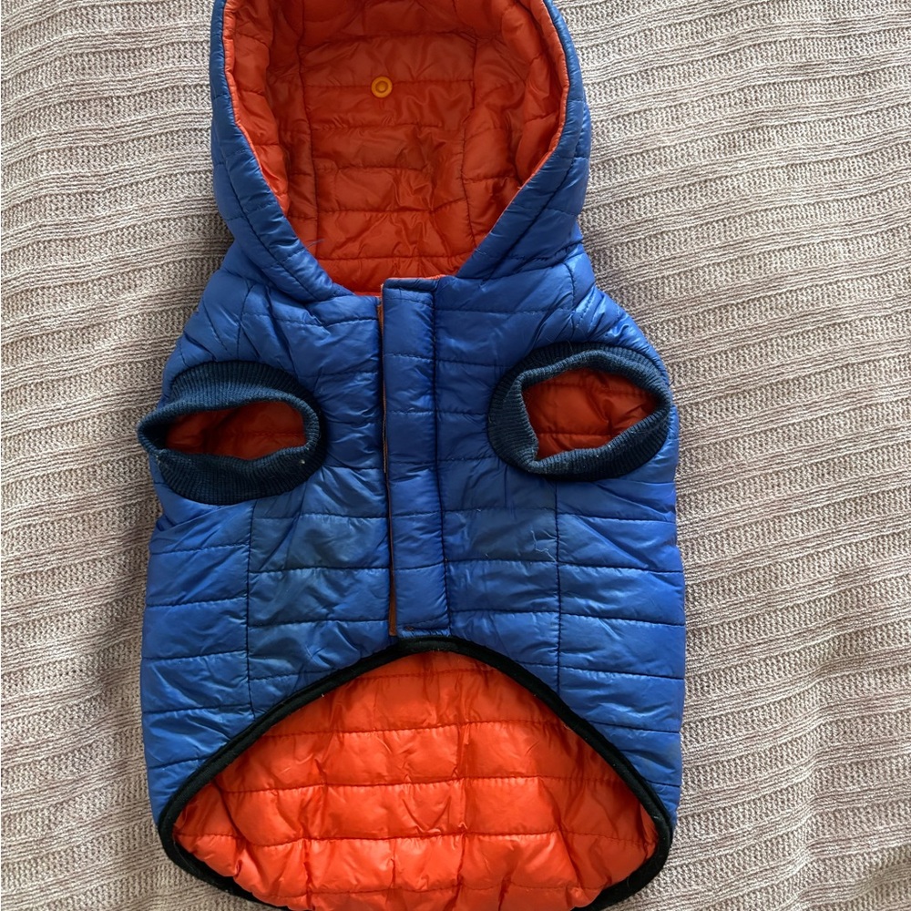 Reversible Blue and Orange Quilted Dog Jacket for small dog